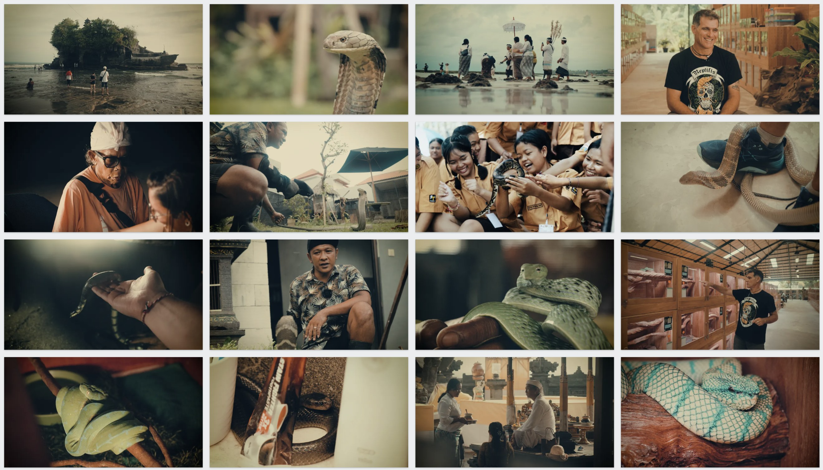 Frames from the film