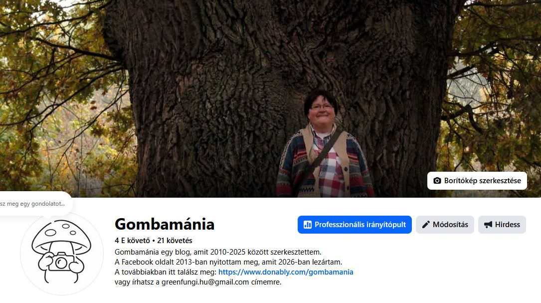 Volt egyszer egy blogom és annak közösségi oldala