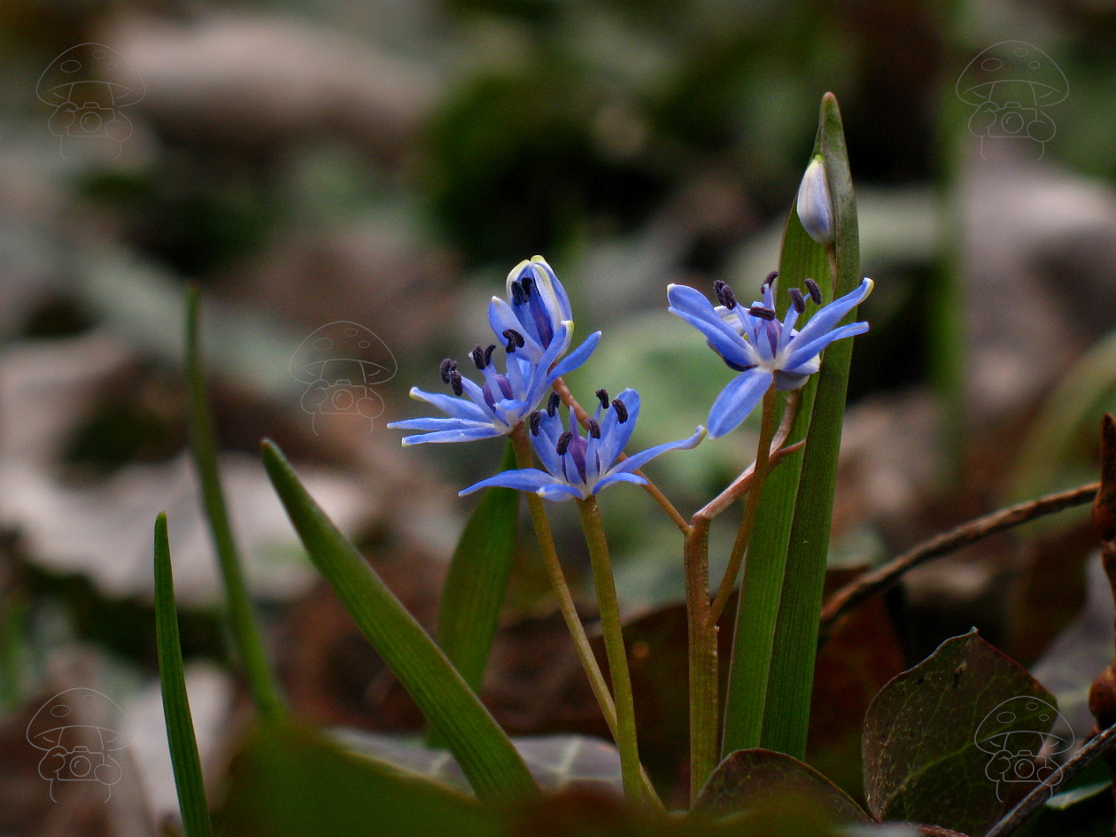 Föld napjára: végtelen feketeségben kék űrhajó