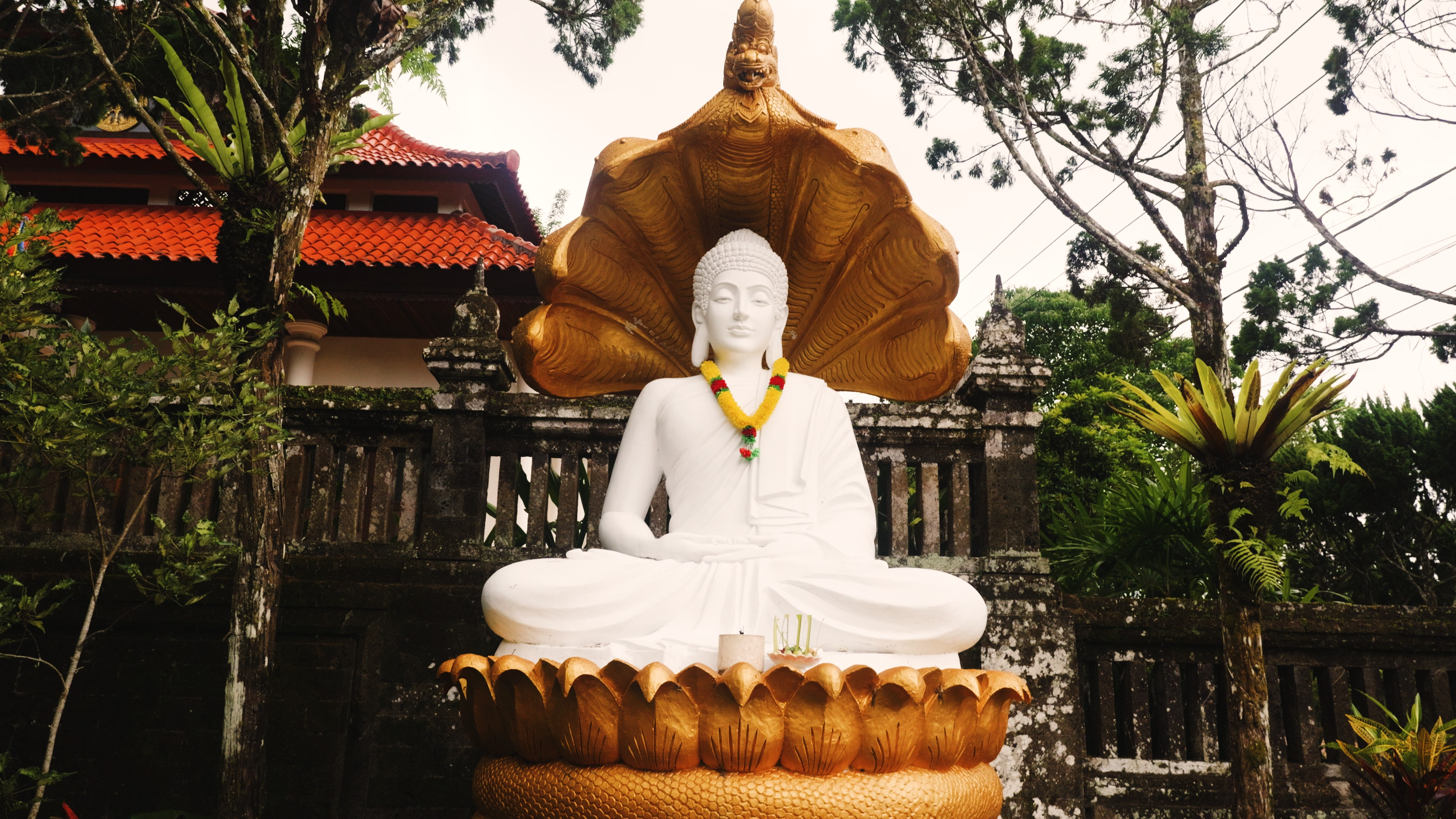 Buddha and the Seven Cobras