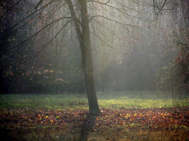 párás harmónia 2025.12.18.jpg