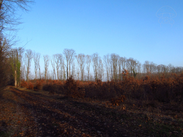 faanyaggazdálkodás 2025.12.18.jpg